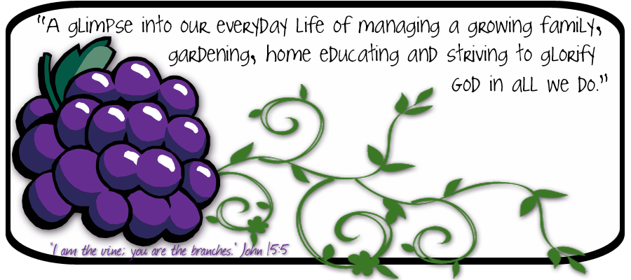 Grape Moments in Life
