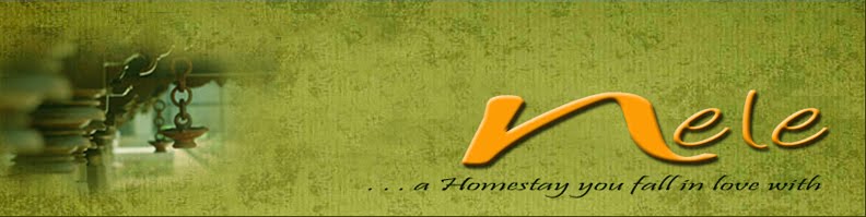 Nelehomestay Places Around