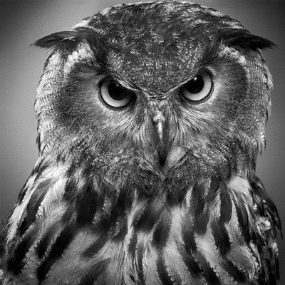 Land of Pics: Pencil Drawing Art