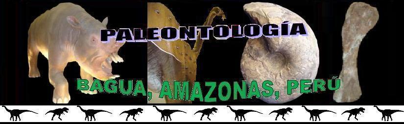 Paleontología de la Provincia de Bagua