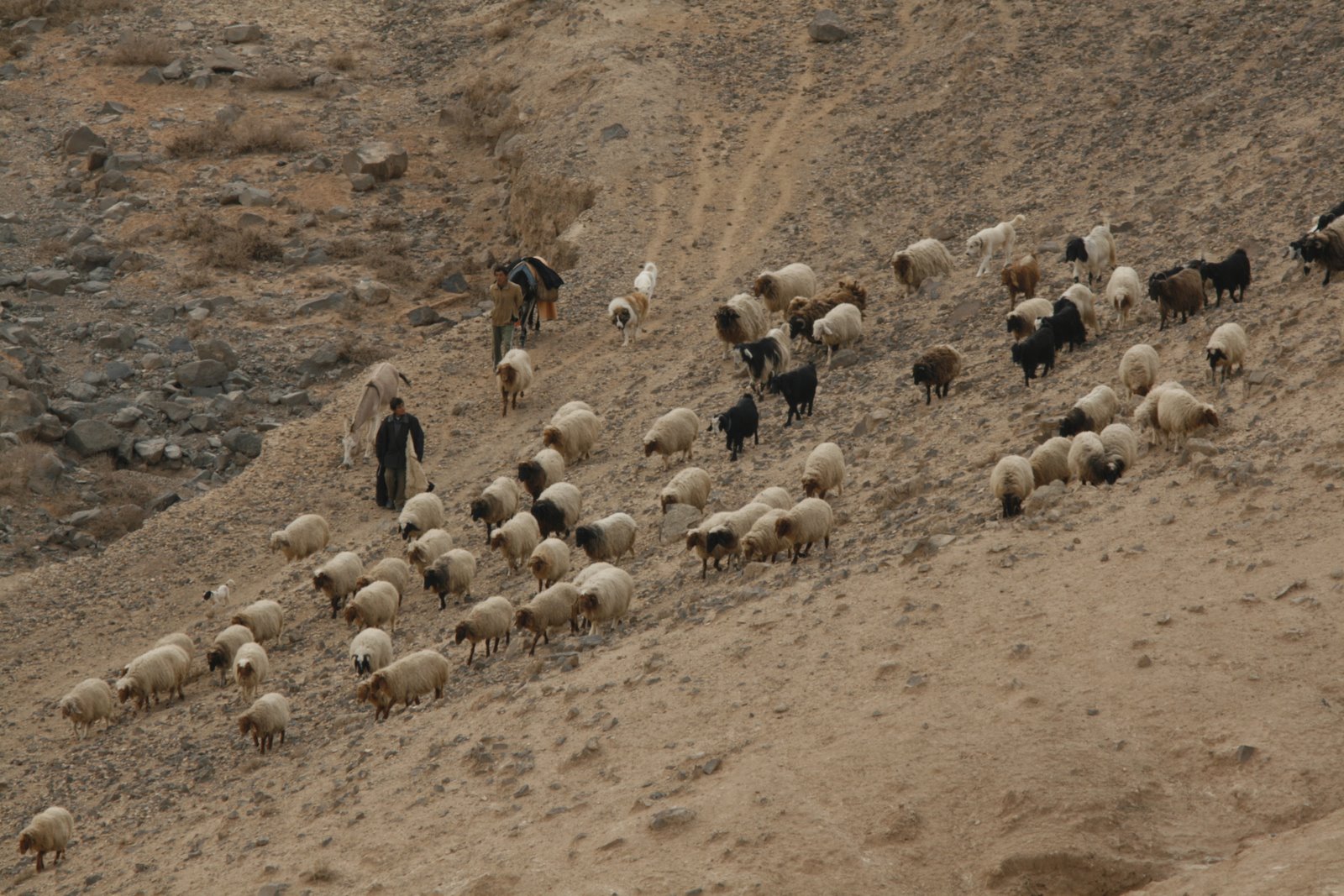 [230109-Halababbla+121.JPG]