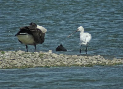 [Selection+(17).jpg]