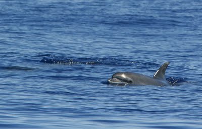 [Selection+(32).jpg]