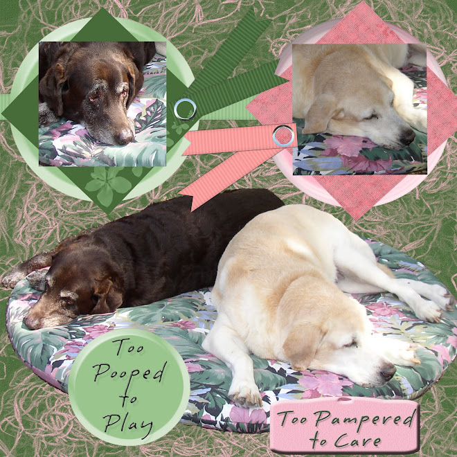 Too pooped