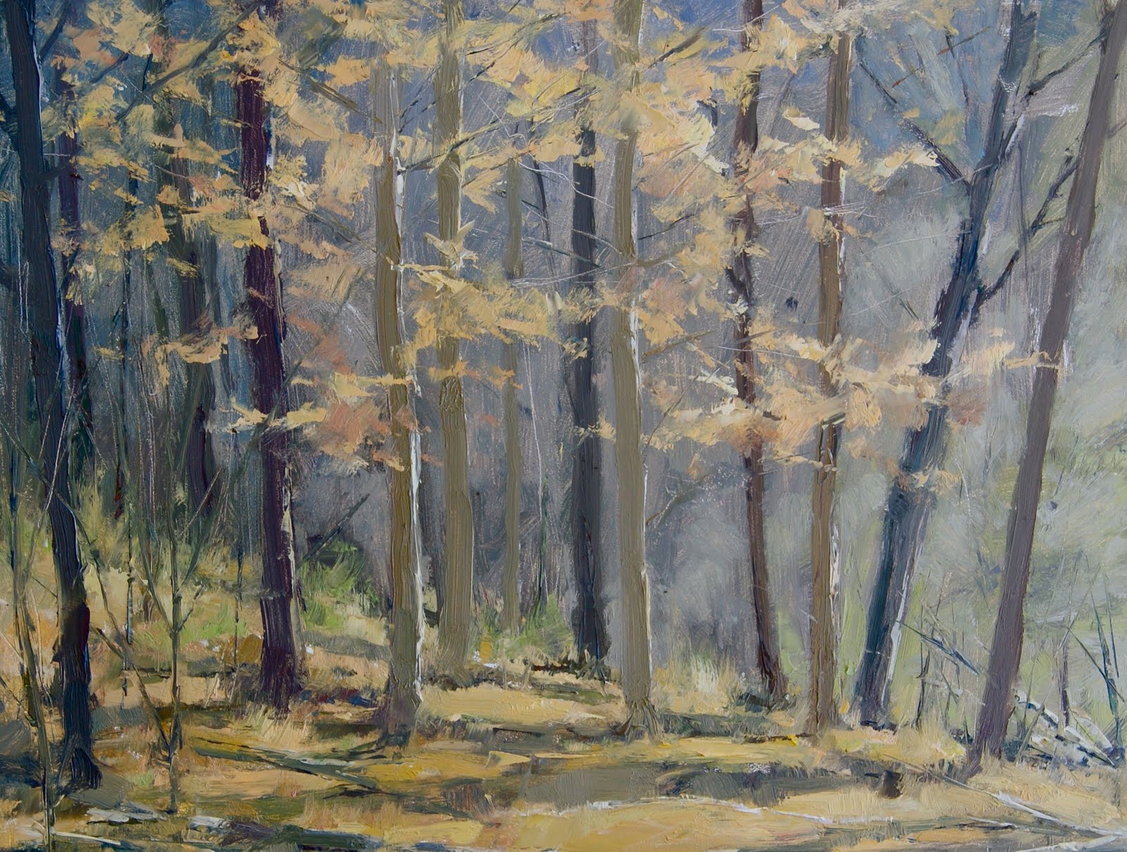 [Beach+Trees.jpg]