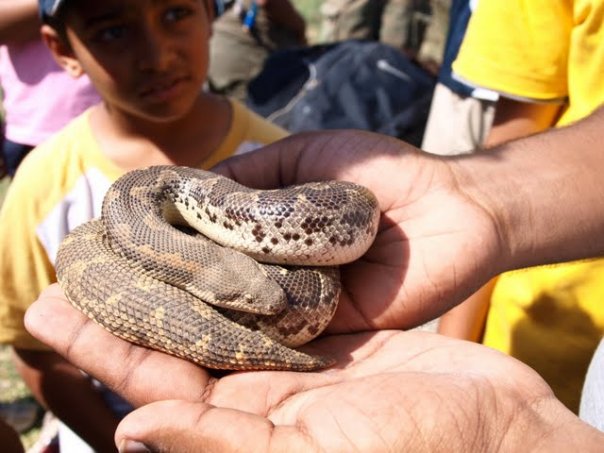 Naturalistic Learning