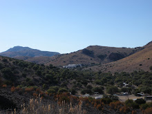 Davis Mountains