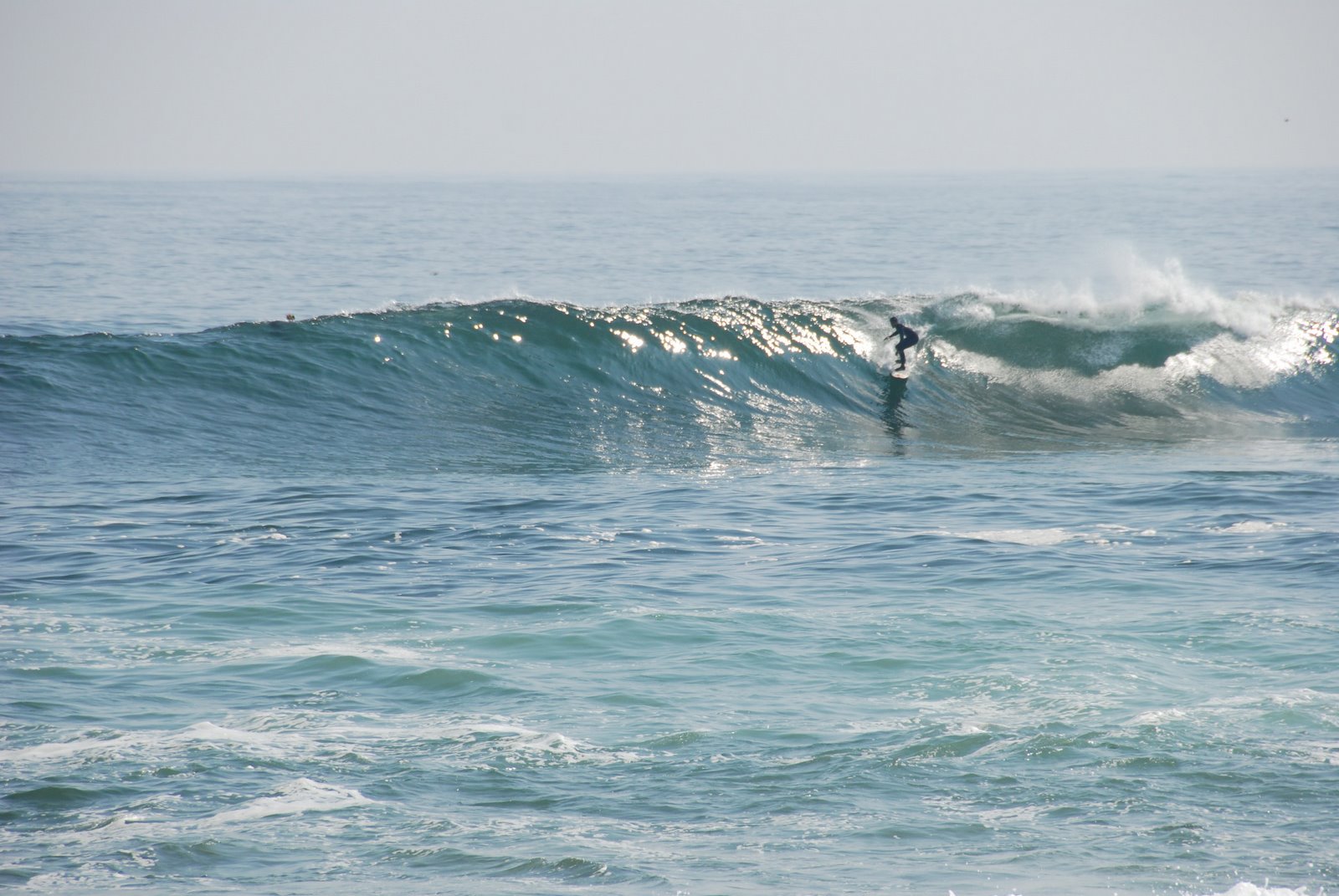 [DSC_9099.JPG]