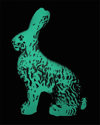 Andy Warhol Rabbit
