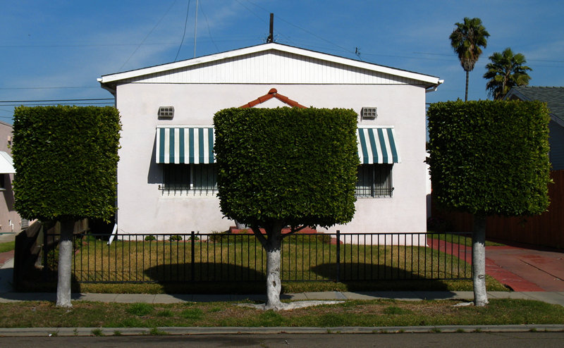 three square trees; click for previous post