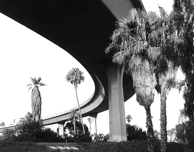 Palms under the on-ramp; click for previous post