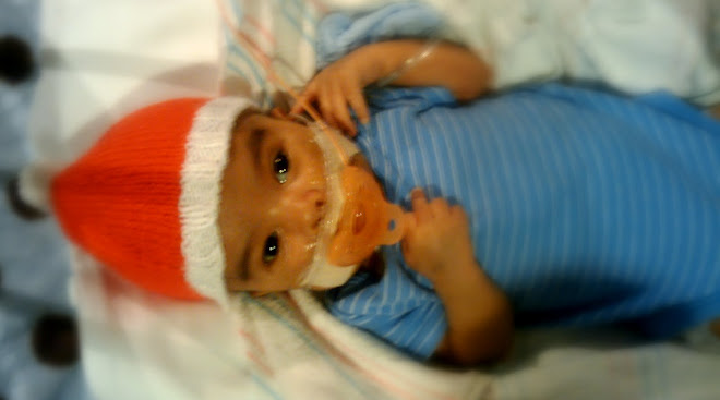 Joshua 12-19-09