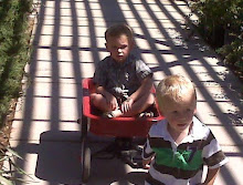 Our nephews Luke and Chase