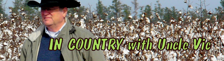 In Country With Uncle Vic