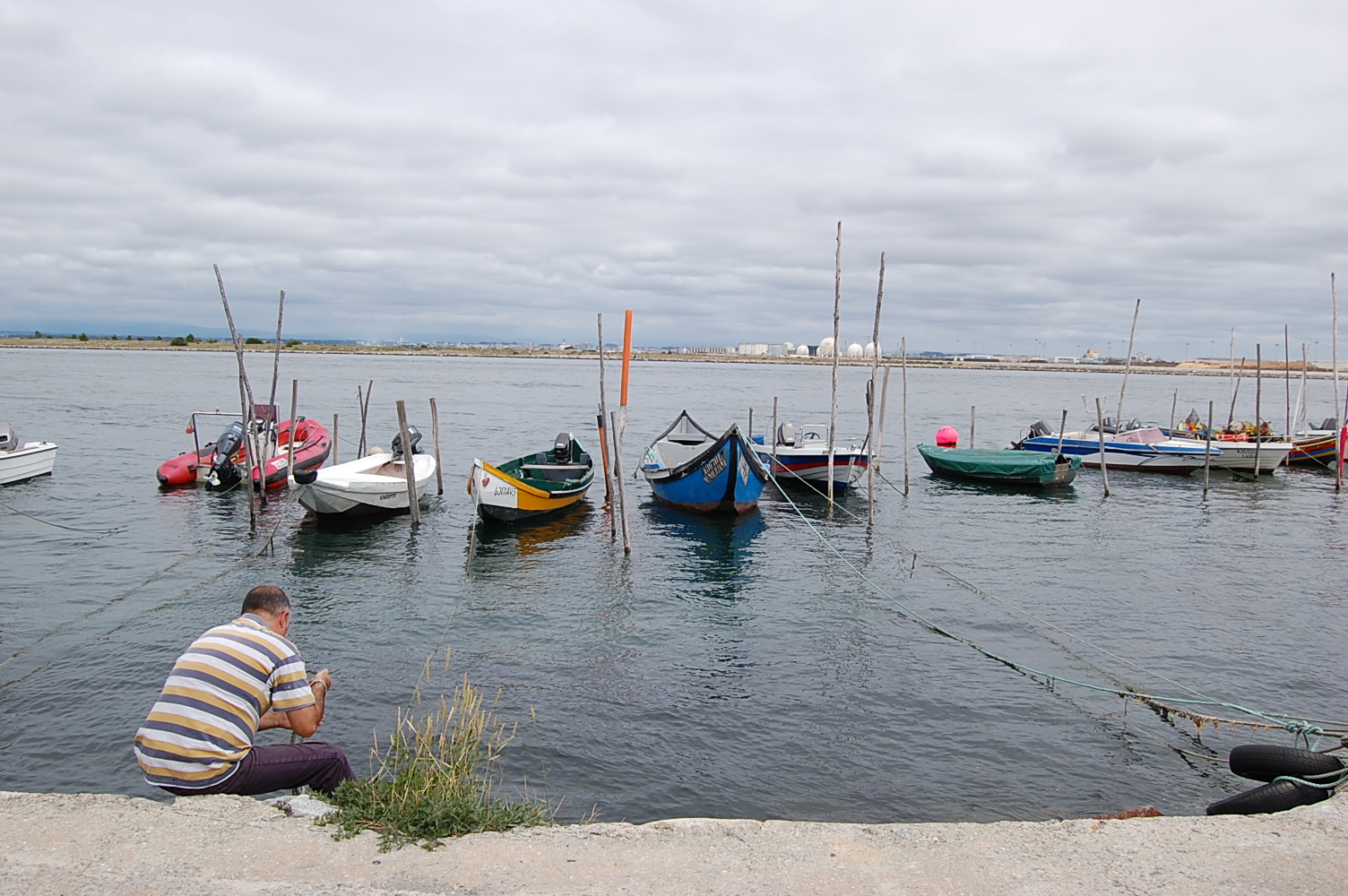 [DSC_1512.JPG]