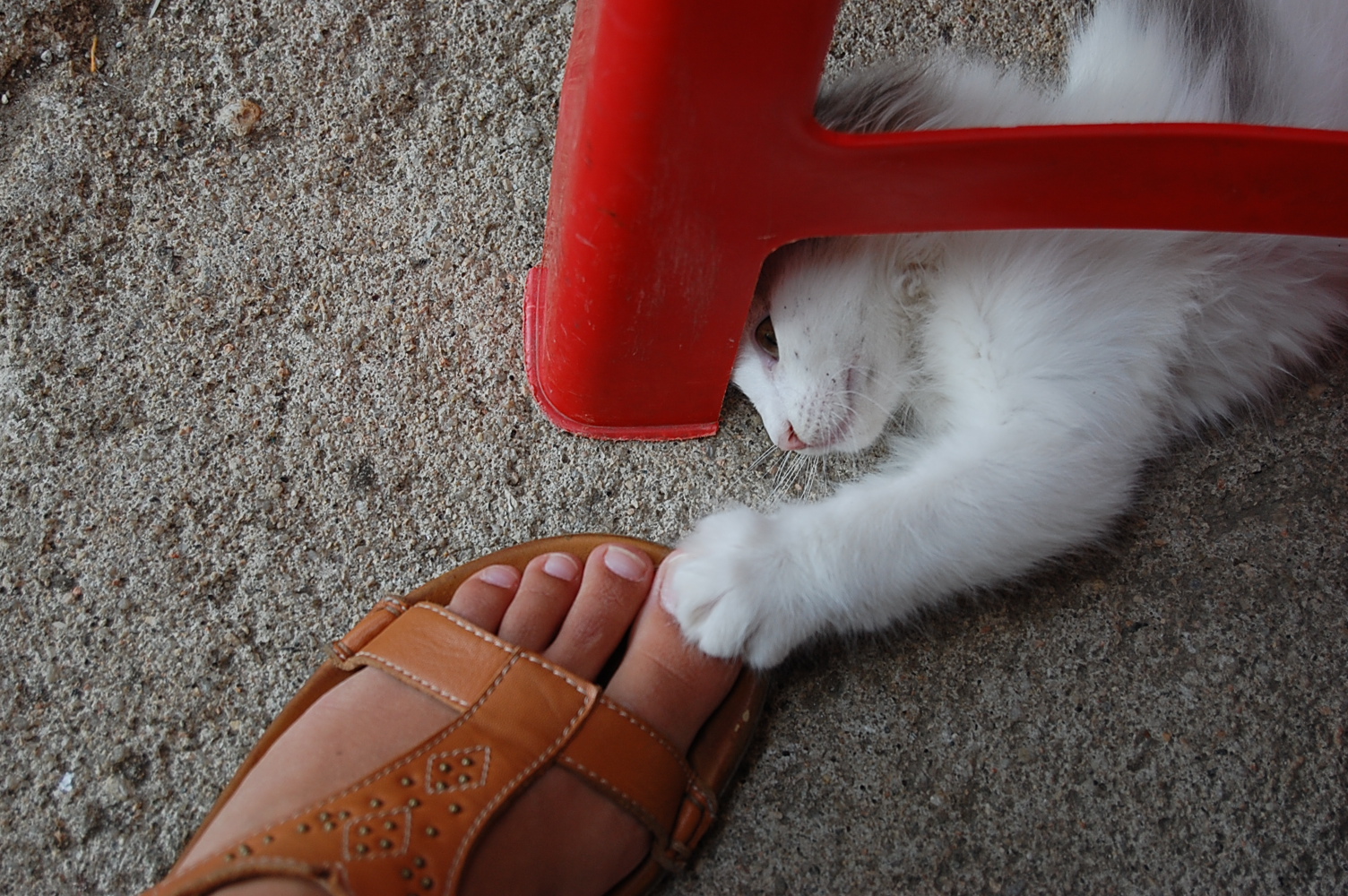 [DSC_3494.JPG]