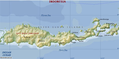 map of flores