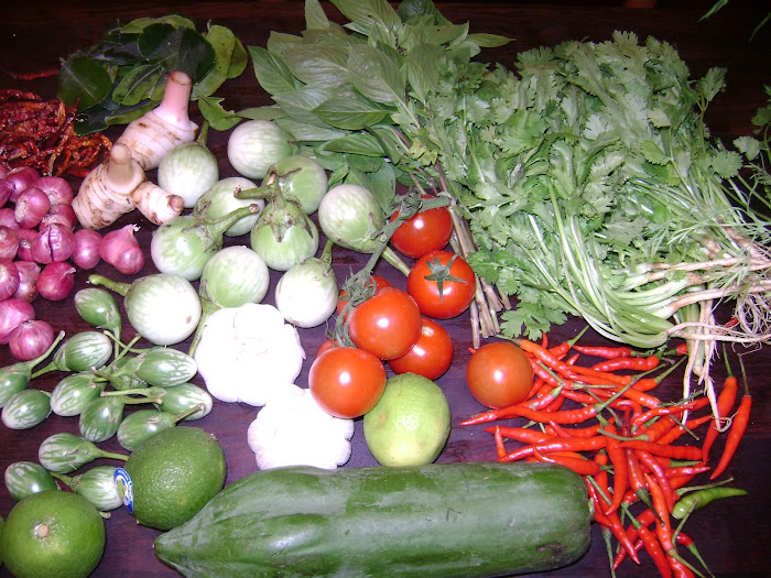 Coriander Basil leaves Citrus leaves Chillies red, Red small onions,Pawpaw, tomatoes, Laos, Eggplan