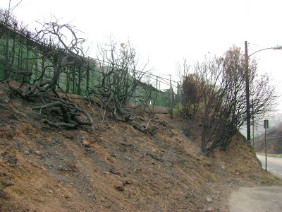 Malibu Canyon Church Fire - October 2007