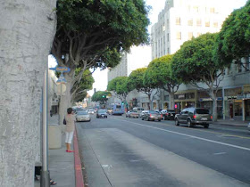 The Big Blue Bus Stop - 5th and Santa Monica Blvd