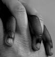 Il Integralismo respinge il razzismo!