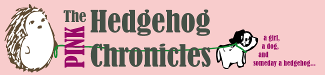 Pink Hedgehog Chronicles