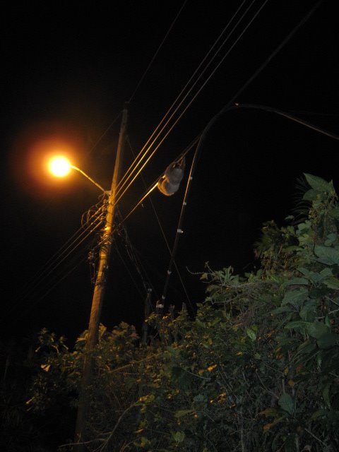 [sloth+on+telephone+wire.JPG]