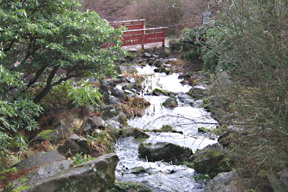 [Chinese+garden+stream2.jpg]