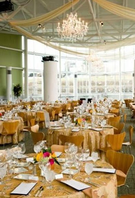 Party Linen Party Linen