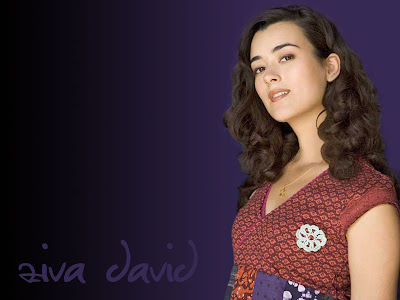 Ziva David de armas tomar