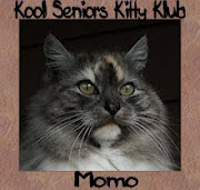 Member of the Seniors Kitty Klub