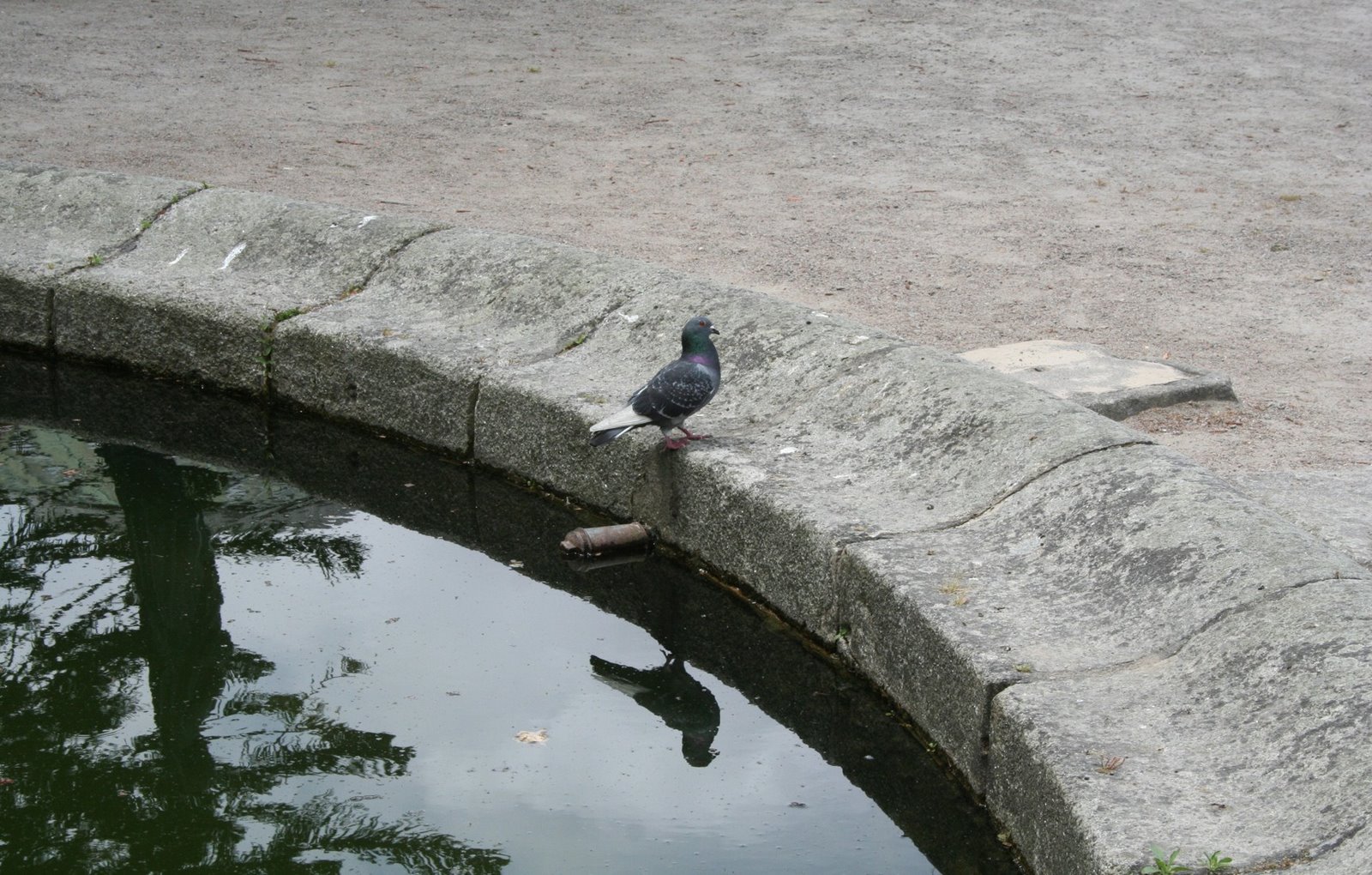 [IMG_4515.JPG]