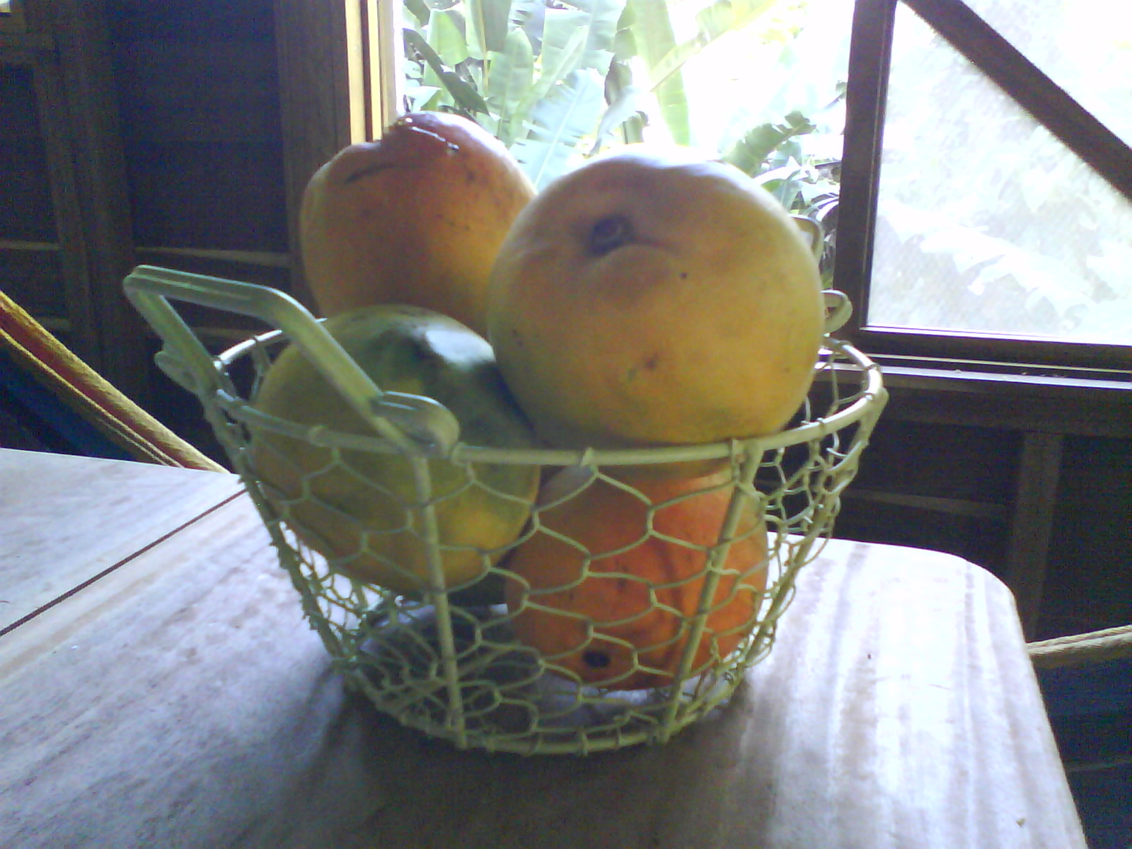 [DSC00072.JPG]