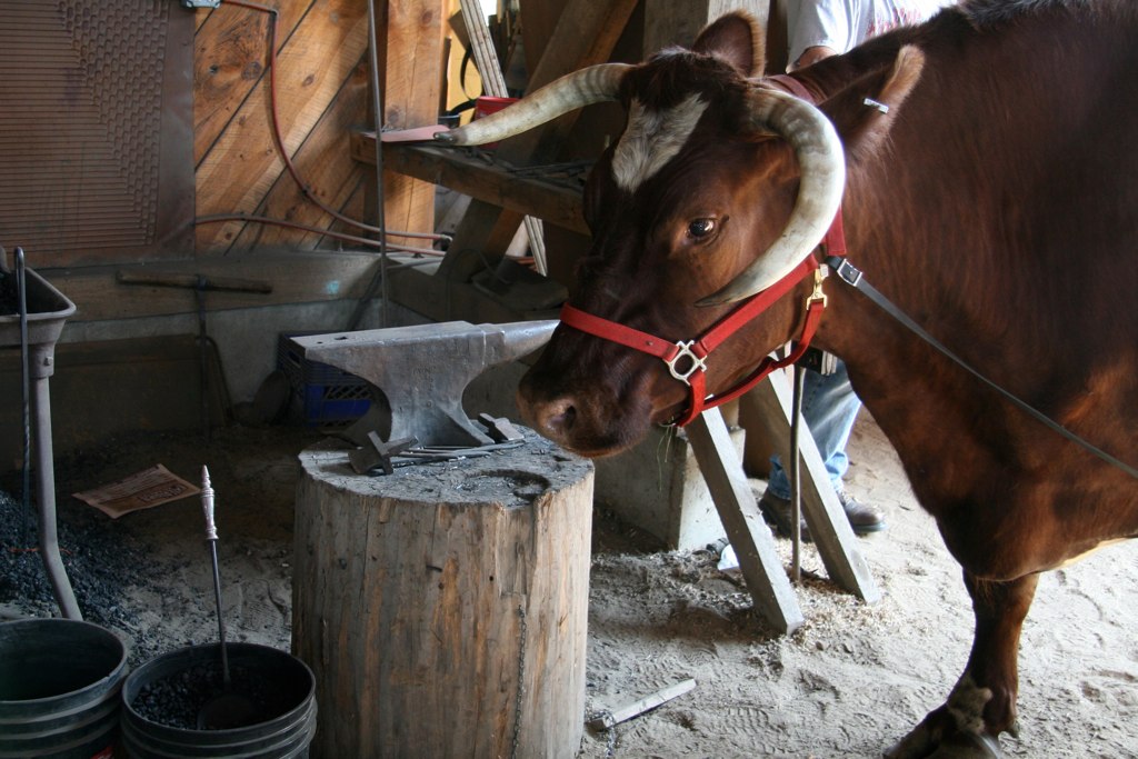 at Tillers International