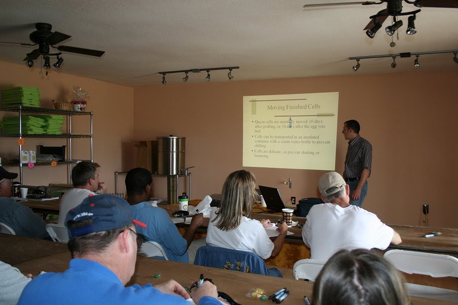 Basic Beekeeping Lesson 53 Queen Rearing Made Simple