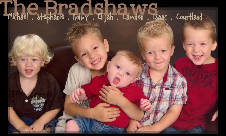 The Bradshaws