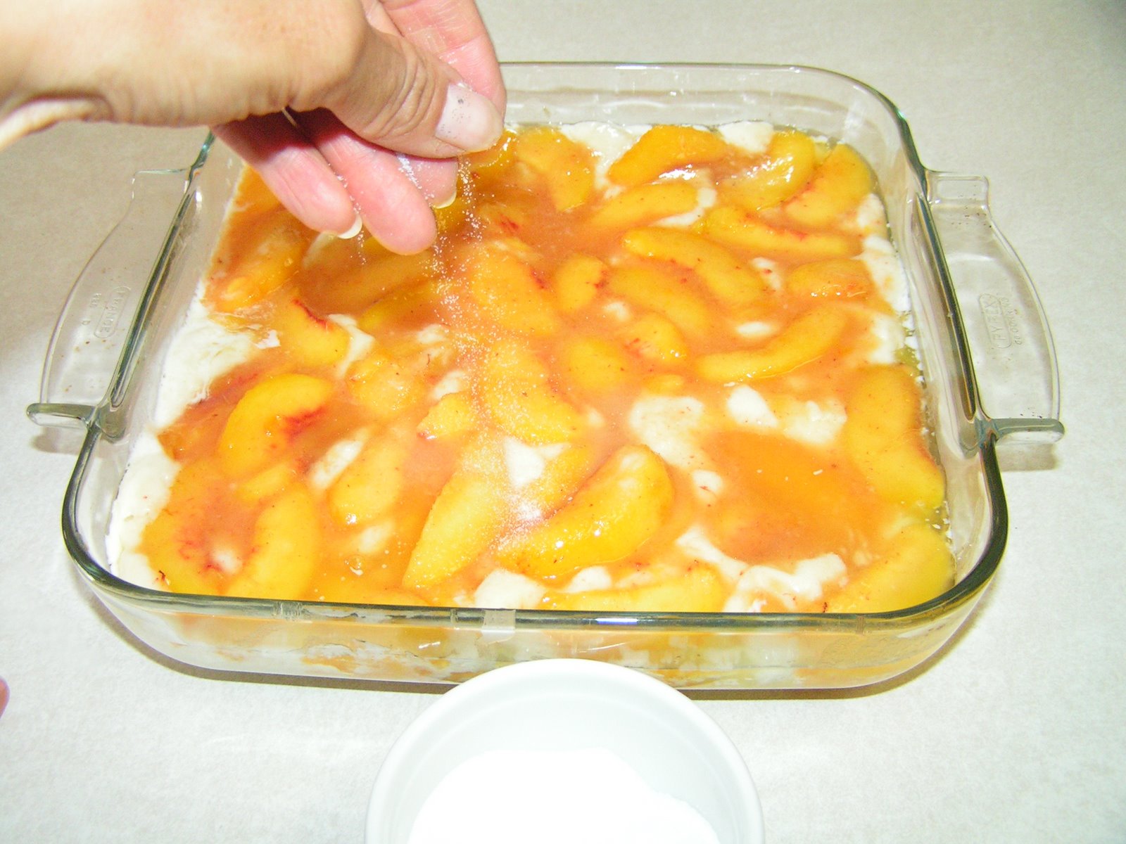 [PICT0096.JPG]