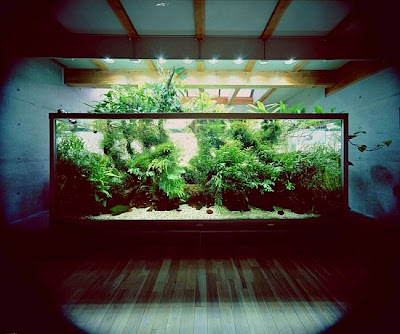 Takashi Amano Gallery