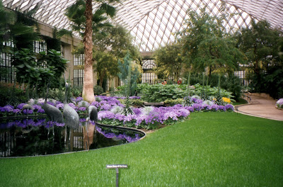 Garden,botanical gardens