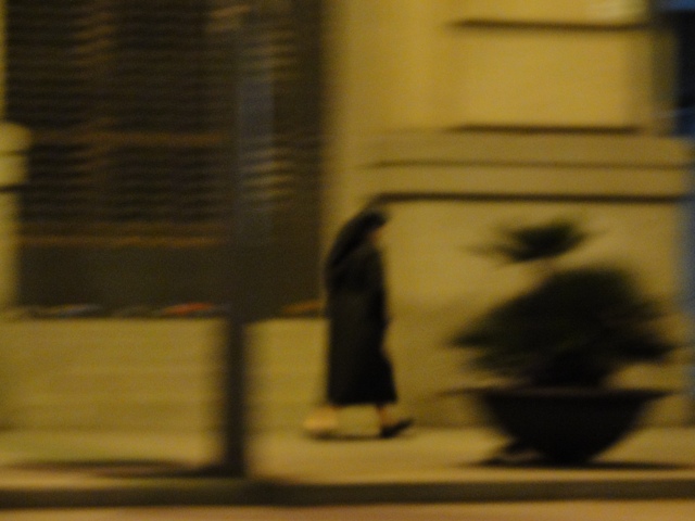 [DSC00657.JPG]