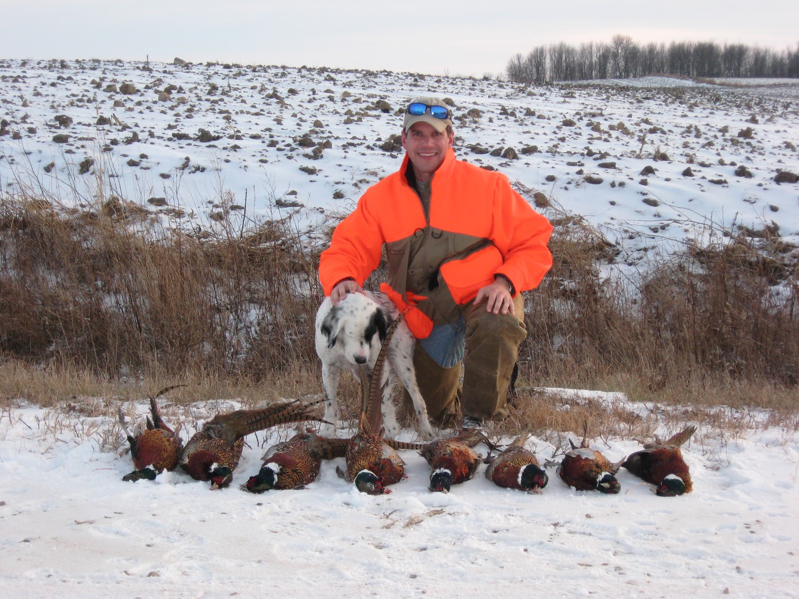 Willmar and Benson MN Pheasant Hunt