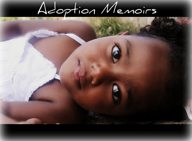 Adoption  Memoirs