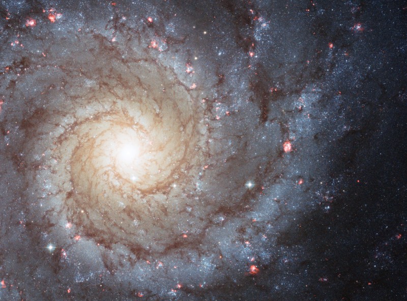 [m74glx.jpg]
