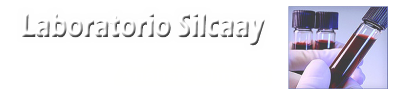 LABORATORIO SILCAAY