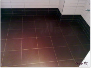 Pavimentos y alicatados: Baño con tabique para ducha