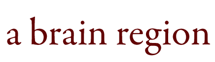 A Brain Region