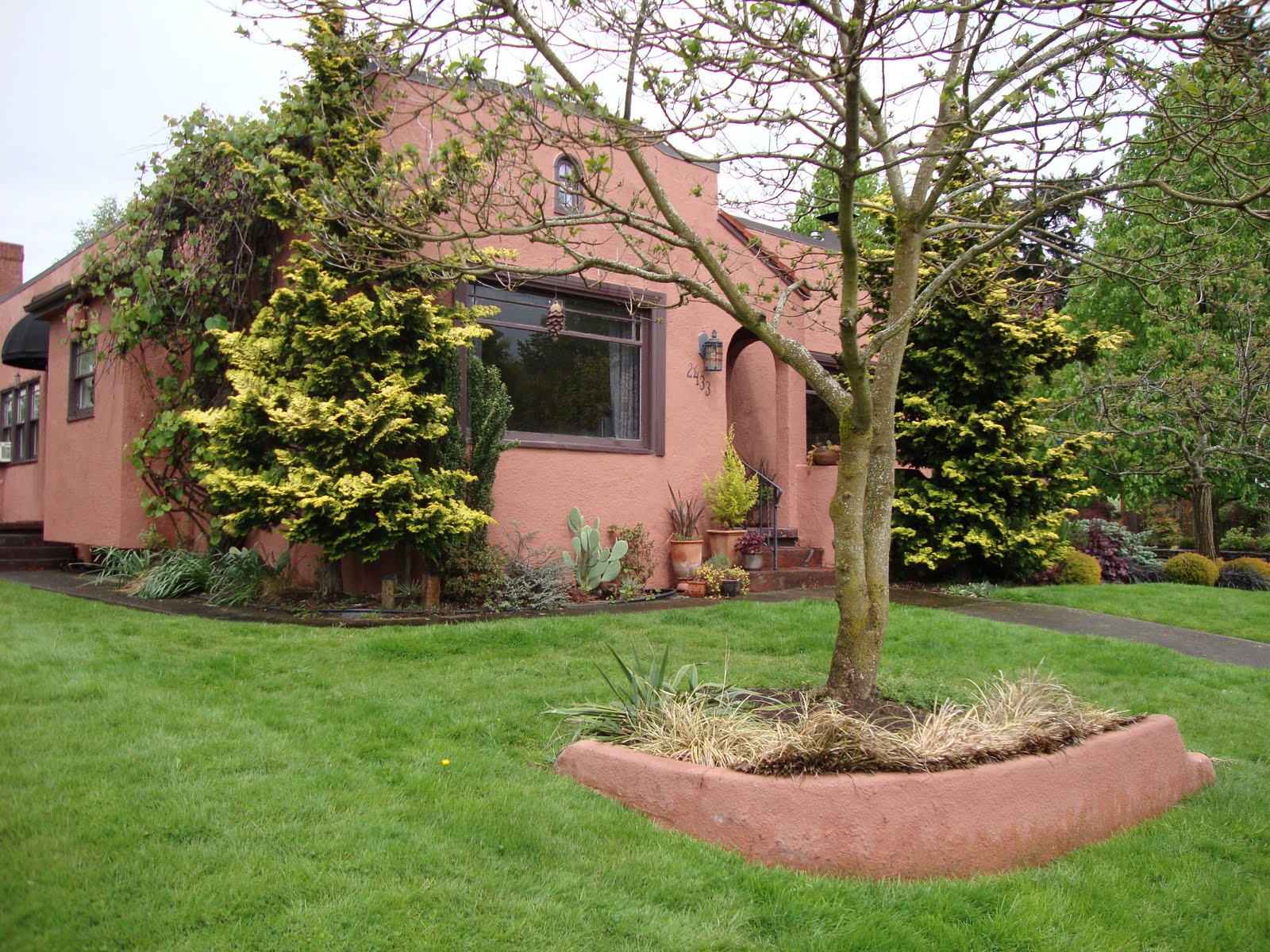 danger garden: Urban walls and planters