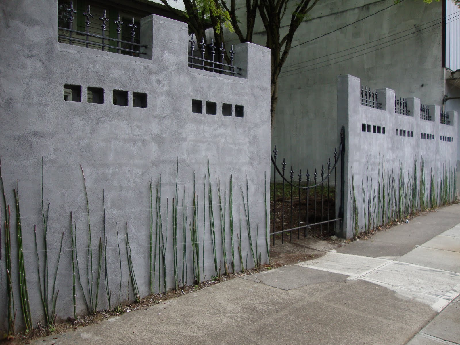 danger garden: Urban walls and planters