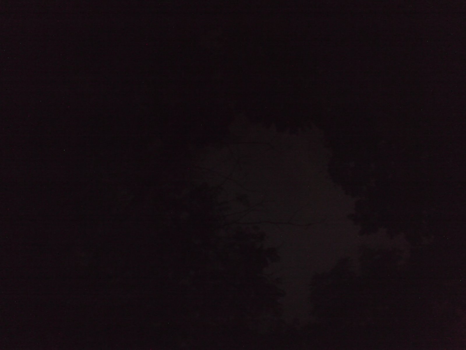 [DSC08263.JPG]