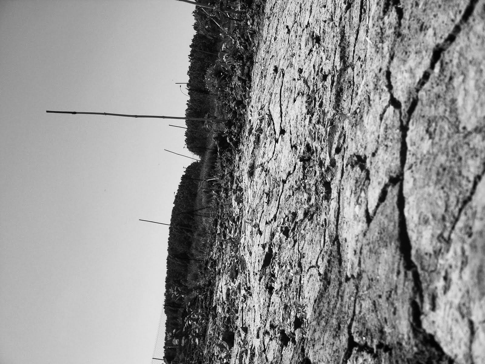 Movicon 11 1 Agrietado